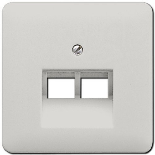 Лицевая панель Jung CD500 для 2-м. розетки RJ11/RJ45 светло-серый фото Лицевая панель Jung CD500 для 2-м. розетки RJ11/RJ45 светло-серый картинка